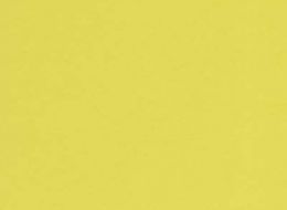 0670 желтый альтамир.jpg